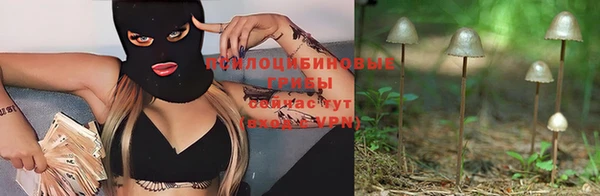 круглые Абаза