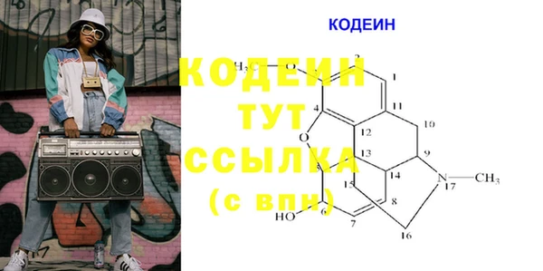 ПСИЛОЦИБИНОВЫЕ ГРИБЫ Алзамай